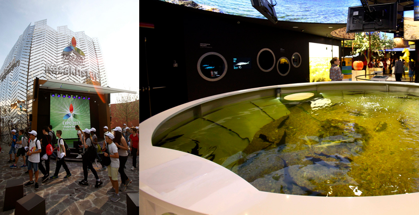 greengo expo greengo expo